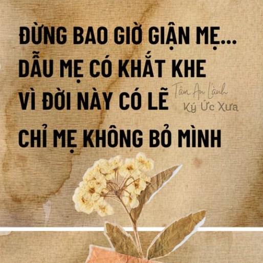 Đừng bao giờ giận mẹ